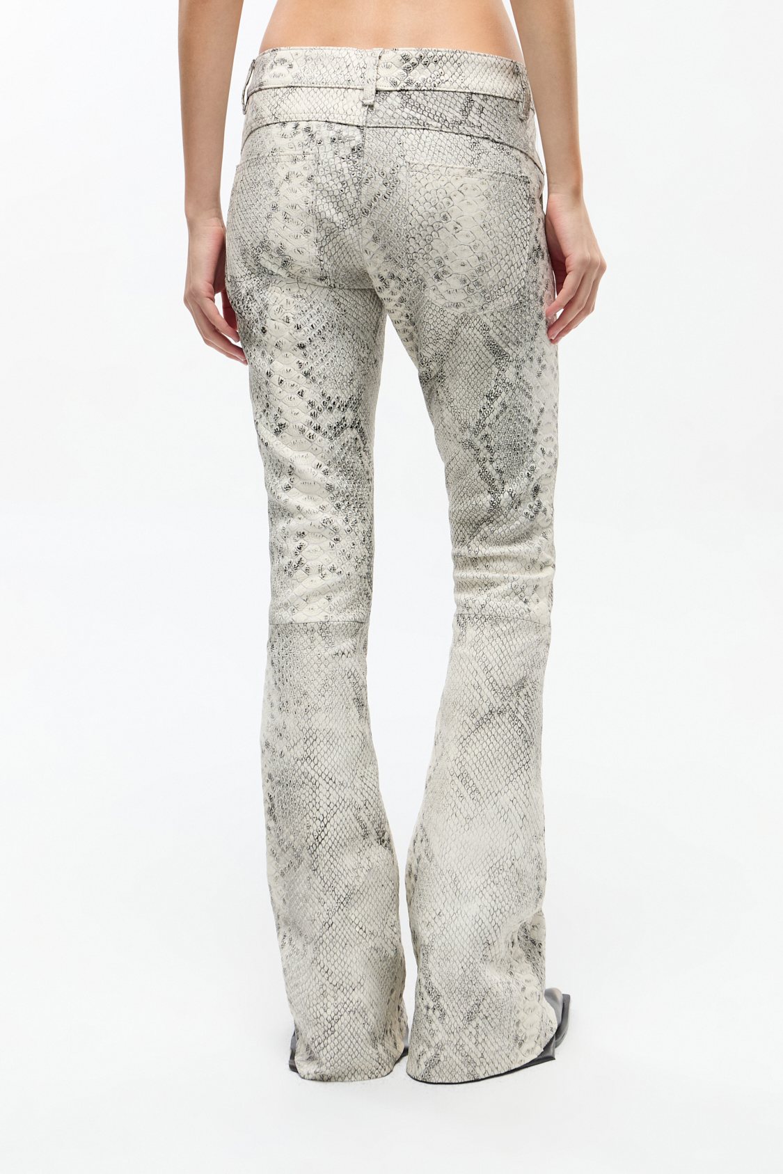 Reptile Stan Pants